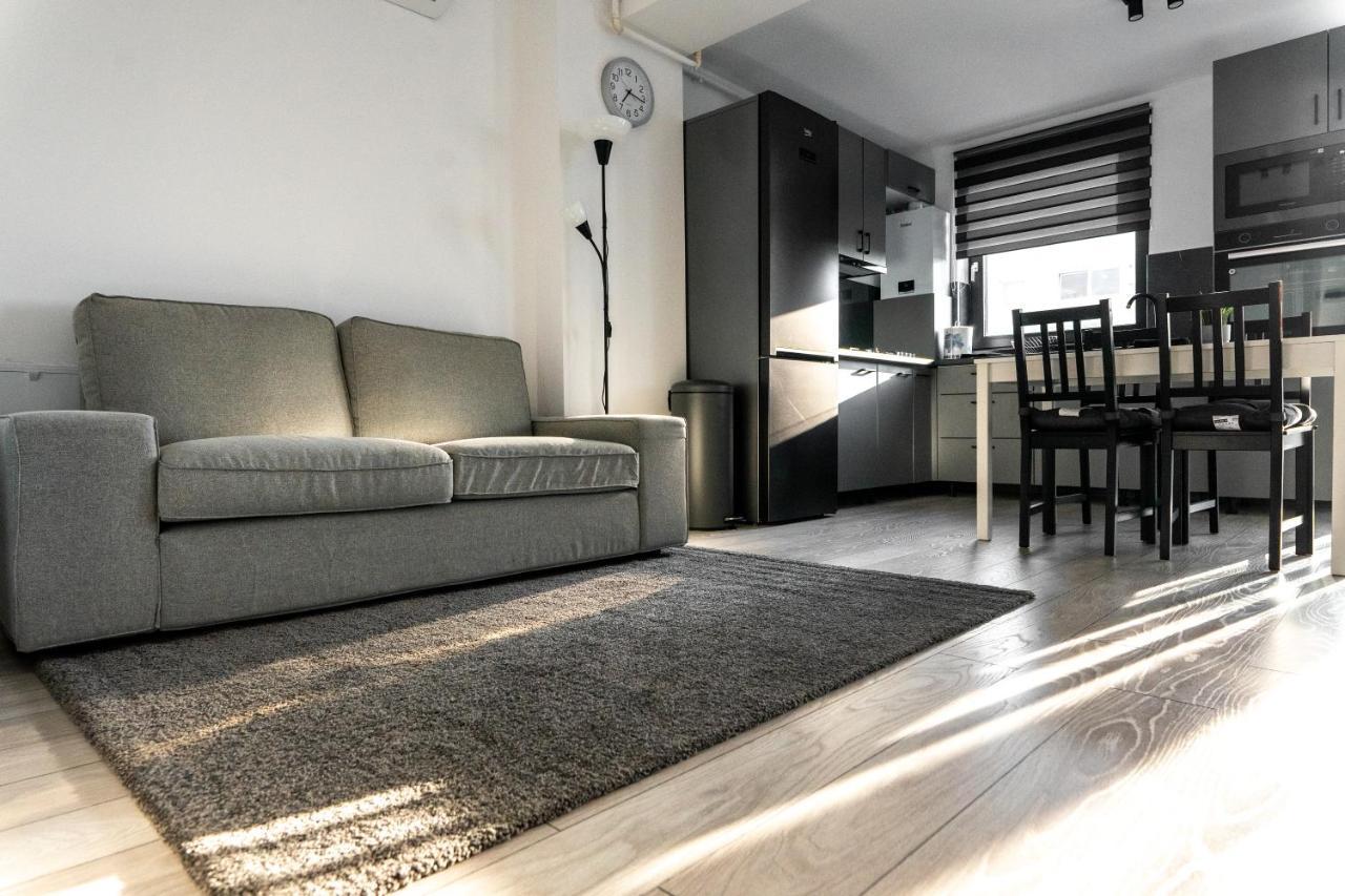 Apartment David 2 Brasov